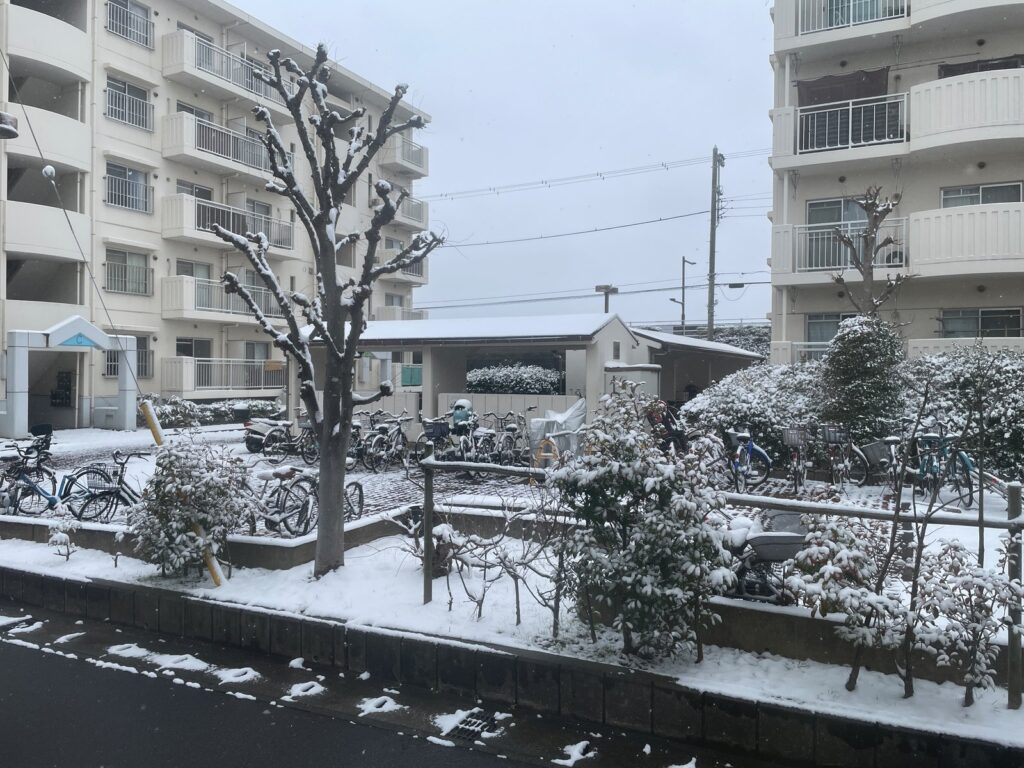 2026年2月8日の浦安積雪の様子